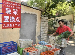 社区开展 垃圾换蔬菜 活动,北京市民提前排队置换